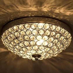 POPILION Contemporary Design 2 Light Crystal Ceiling Light Fixture Chandelier Lighting,Crystal C ...