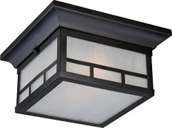 Nuvo Lighting 60/5606 Drexel Flush 2 Light 60-watt A19 Outdoor Close to Ceiling Porch and Patio  ...