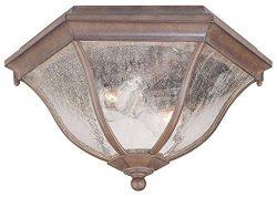 Acclaim 5615ABZ Flush Mount Collection 2-Light Ceiling Mount Outdoor Light Fixture, Architectura ...