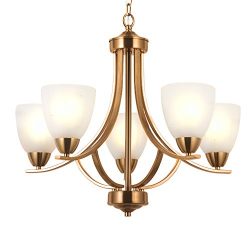 VINLUZ 5 Light Contemporary Chandeliers Brushed Brass Modern Ceiling Light Fixtures Classic Pend ...