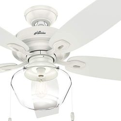 Hunter Fan 52 inch Traditional Fresh White Damp Ceiling Fan with Light Kit (Renewed)