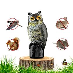 Premium Bird Repellent Fake Owl Decoy for Garden 16 in. Tall – Motion Activated & Solar Powe ...