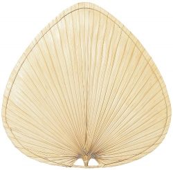 Fanimation PAP1 Wide Oval Palm Palisade Blade, 22-Inch, Set of 8