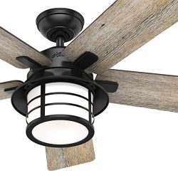 Hunter Fan 54 inch Casual Matte Black Indoor Ceiling Fan with Light Kit and Remote Control (Renewed)