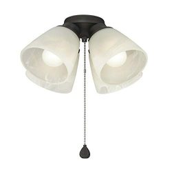 4-Light Matte Black Ceiling Fan Light Kit with Alabaster Glass Shades