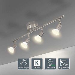 DLLT Modern LED 4 Light Track Lighting Kit, Flush Mount Wall or Ceiling Spot Lights Fixtures, Fl ...