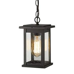 Emliviar Outdoor Pendant Lights for Porch, 1-Light Exterior Hanging Light Fixtures, Black Finish ...