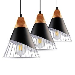 B2ocled Pendant Light Kit, E26/E27 Lamps and Pendant Lighting Shade Metal Cage, Ideal for Restau ...