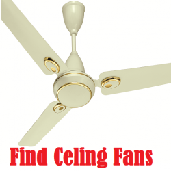 Find Celing Fans