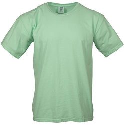 Comfort Colors Men’s Adult Short Sleeve Tee, Style 1717, Island Reef, 2X-Large