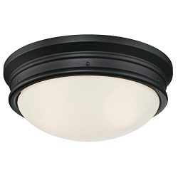 Westinghouse Lighting 6324100 Meadowbrook Two-Light Indoor Flush-Mount Ceiling Fixture, Matte Bl ...