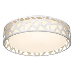 Flush Mount Light Fixture, VICNIE 12 inch 15W 1100 Lumens LED Ceiling Lights, Dimmable 3000K War ...