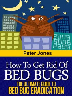 How to Get Rid of Bed Bugs – The Ultimate Guide to Bed Bug Eradication