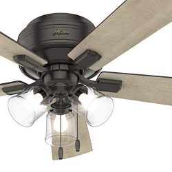 Hunter Fan 52 inch Noble Bronze Finish Ceiling Fan with LED Light Kit, 5 Blade (Renewed)