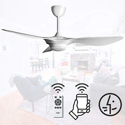 reiga 52-in Ceiling Fan with LED Light Kit Remote Control Modern Blades Noiseless Reversible Mot ...