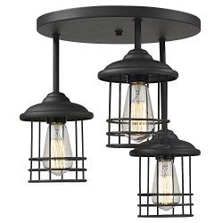 Emliviar Semi-Flush Mount Ceiling Light, 3-Light Close to Ceiling Light Fixture with Metal Cage  ...