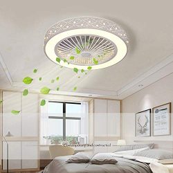 Ceiling Fans with Lights and Remote Control with 3 Acrylic Blades Invisible Ceiling Fans for Liv ...