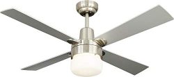 NOMA Ceiling Fan with Light | Dimmable Ceiling Fan with Remote | Silver, Nickel, 42-Inch