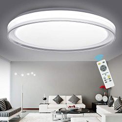 DLLT 48W Ceiling Light Fixture Industrial, Dimmable Modern Flush Mount Lighting with Remote Cont ...