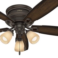 Hunter Fan 52 inch Low Profile Traditional Ceiling fan with LED Light Kit, Onyx Bengal (Renewed)