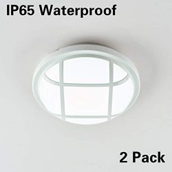 LED Ceiling Light, LED Wall Lamp, Surface Flush Mount 20W Ceiling Lights Fixture, 8.7” Rou ...