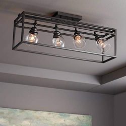 Pro Track Brennan 4-Light Bronze Cage Track Fixture – Pro Track