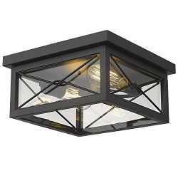 Emliviar 12 Inch Ceiling Light Fixture, 2-Light Flush Mount Ceiling Light in Black Finish, 0387B ...