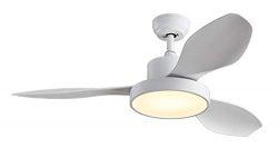 Lampsmore Indoor Ceiling Fans 44 inch 3 Blades Brushed Slate with Remote Control 24W LED Ceiling Fan