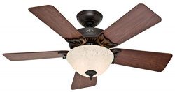 Hunter Indoor Ceiling Fan with light and pull chain control – Kensington 42 inch, Nobel Br ...