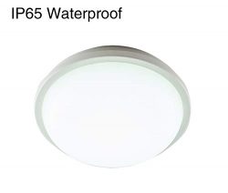 LED Ceiling Light, Surface Flush Mount,20W Round（8.7 Inch),LED Wall Lamp Fixture, for Indoor an ...