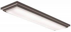 Lithonia Lighting FMFL 30840 VANL BZ LED Vanderlyn Linear Flush Mount, 3100 Lumens, 120 Volts, 3 ...