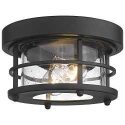 Emliviar 2-Light Round Ceiling Light Fixture, Farmhouse Flush Mount Ceiling Light 11 Inch, Black ...