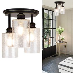 DLLT Industrial Semi Flush Mount Light Fixture, 3-Light Vintage Ceiling Light with Clear Seeded  ...