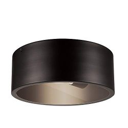 Globe Electric 44479 Teagan 1 Outdoor Indoor Flush Mount Ceiling Light, Dark Bronze, Clear Glass ...